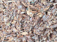 Mulčovací kůra, borová, big bag, 1000 litrů - foto 2